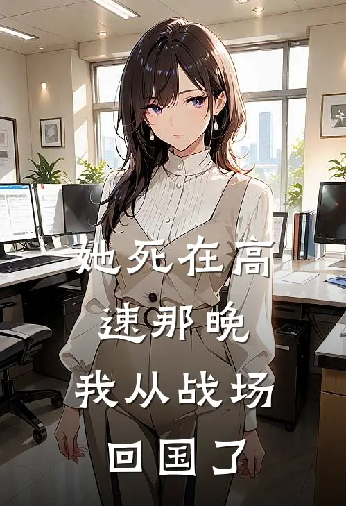 她死在高速那晚，我从战场回国了