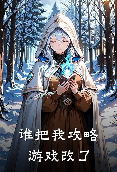 谁把我攻略游戏改了