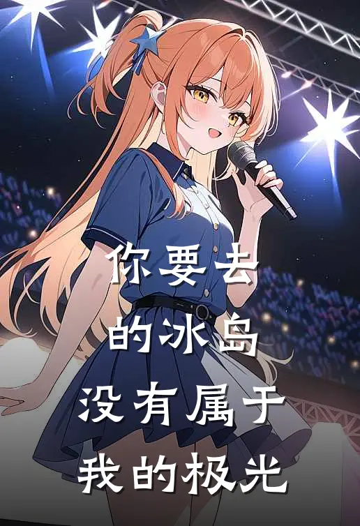 你要去的冰岛，没有属于我的极光