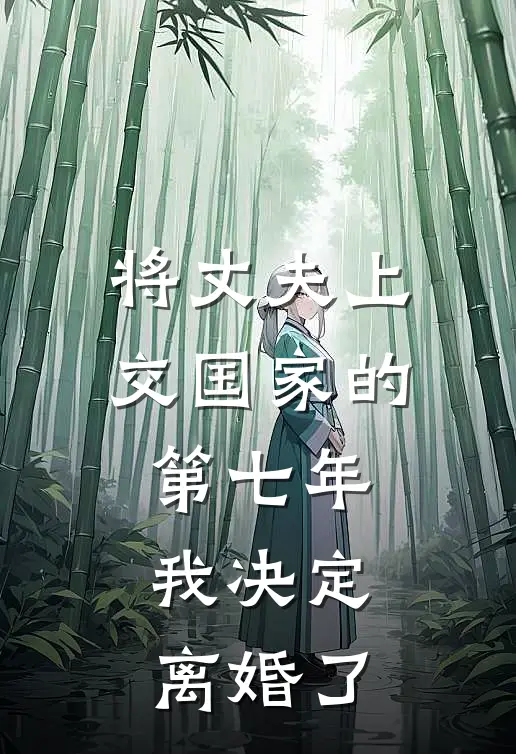 将丈夫上交国家的第七年，我决定离婚了