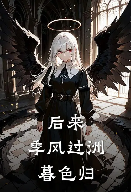 后来，季风过洲暮色归