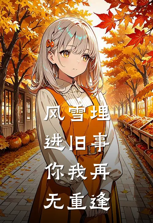 风雪埋进旧事，你我再无重逢