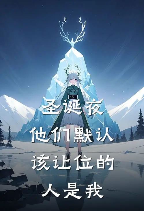 圣诞夜，他们默认该让位的人是我