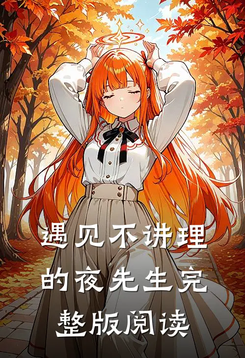 遇见不讲理的夜先生完整版阅读