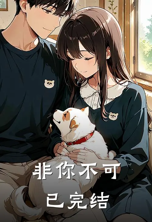 非你不可已完结
