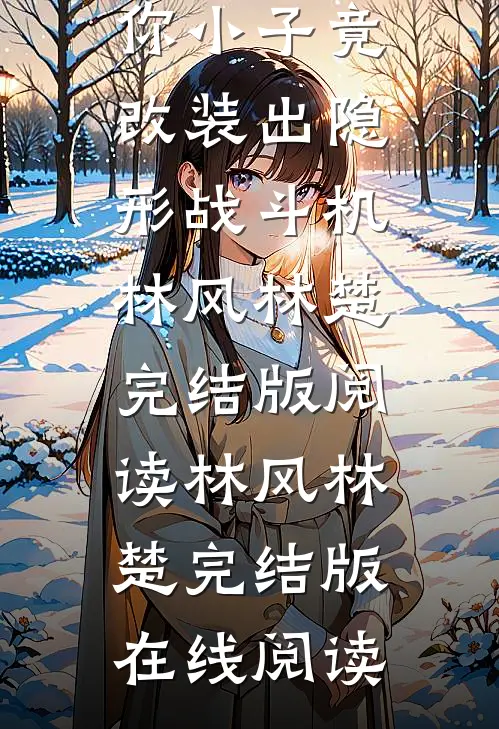 完结版阅读你小子竟改装出隐形战斗机