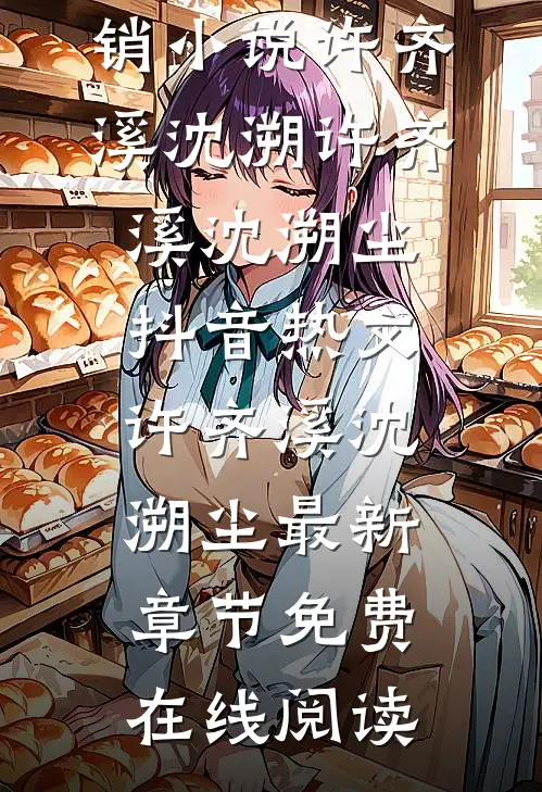 畅销小说许齐溪沈溯