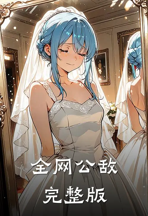 全网公敌完整版
