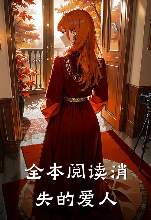全本阅读消失的爱人