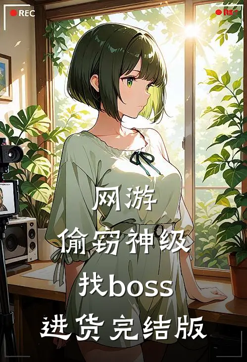 网游:偷窃神级,找boss进货完结版