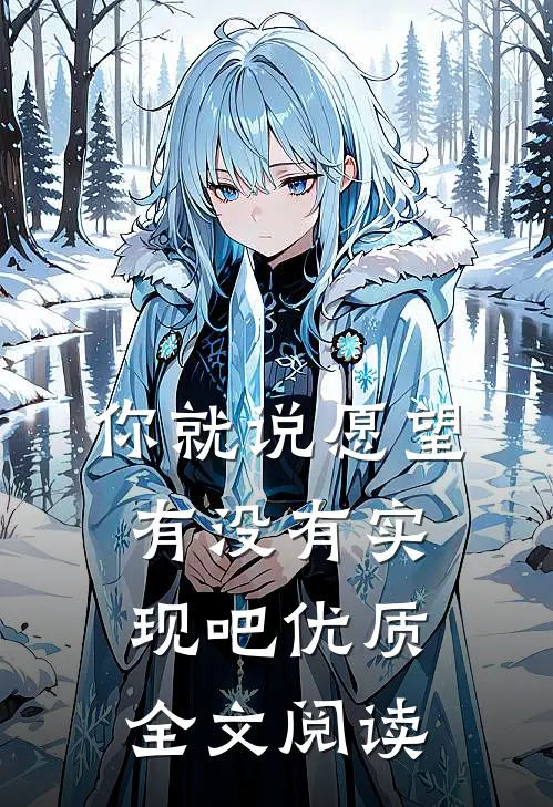你就说愿望有没有实现吧优质全文阅读