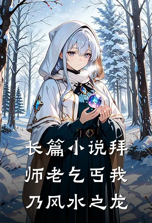 长篇小说拜师老乞丐我乃风水之龙