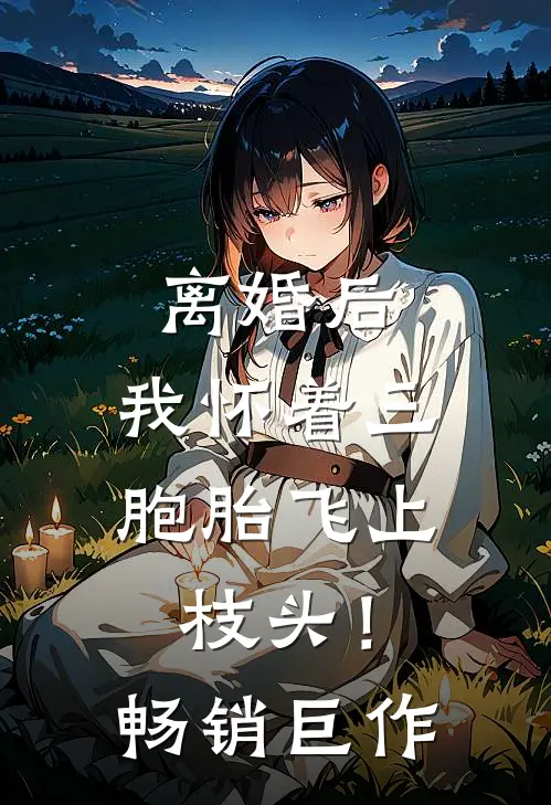 离婚后，我怀着三胞胎飞上枝头！畅销巨作