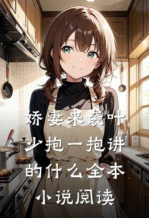 娇妻来袭叶少抱一抱讲的什么全本小说阅读
