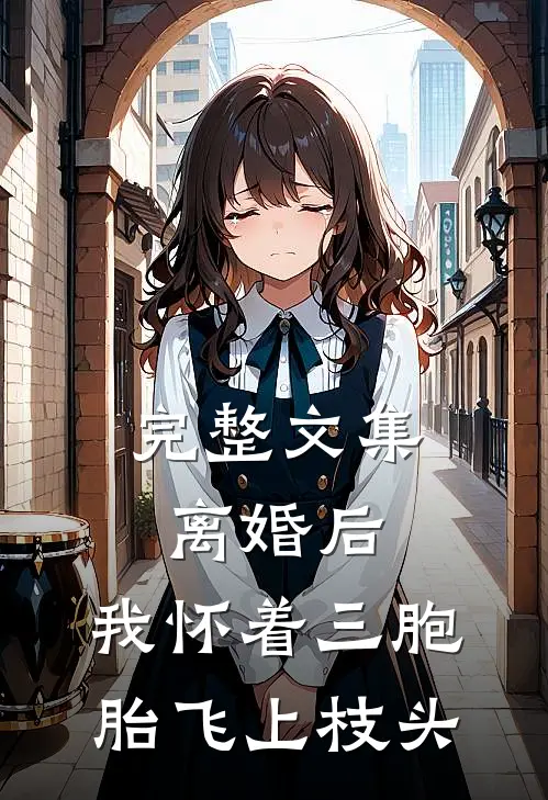 完整文集离婚后,我怀着三胞胎飞上枝头