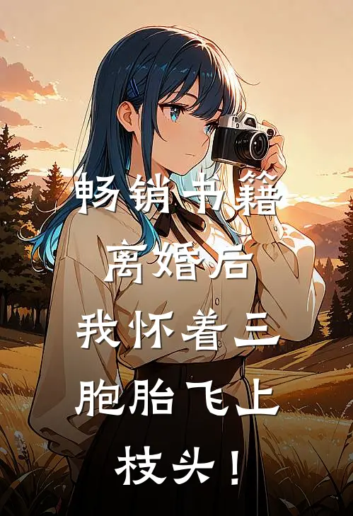 畅销书籍离婚后,我怀着三胞胎飞上枝头!