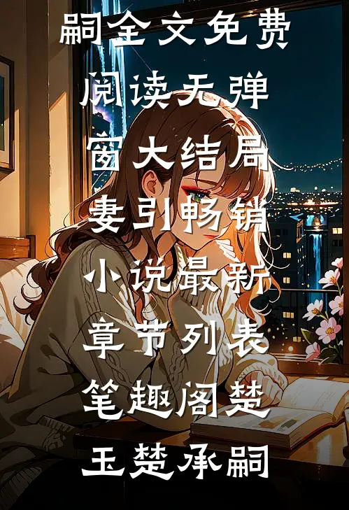 妻引畅销小说