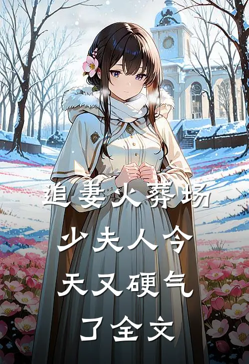追妻火葬场:少夫人今天又硬气了全文