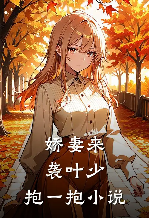 娇妻来袭叶少,抱一抱 小说