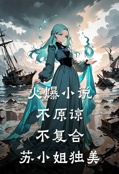 火爆小说不原谅,不复合,苏小姐独美