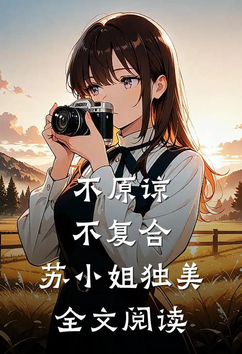 不原谅，不复合，苏小姐独美全文阅读
