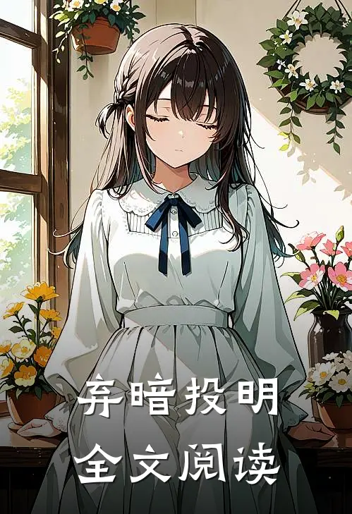 弃暗投明全文阅读