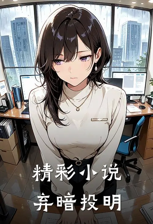 精彩小说弃暗投明