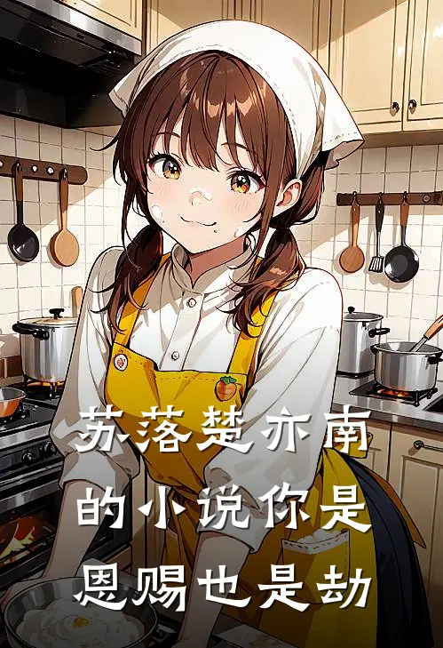 苏落楚亦南的小说你是恩赐也是劫