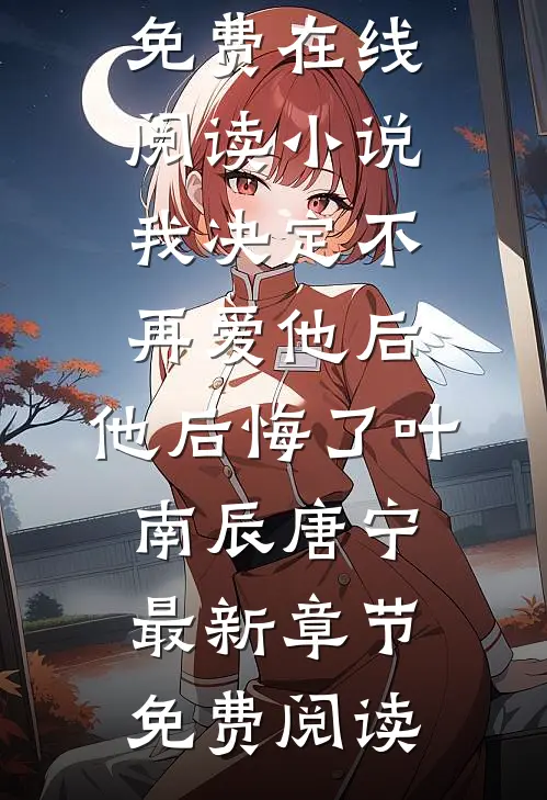 小说我决定不再爱他后,他后悔了(叶南辰唐宁)