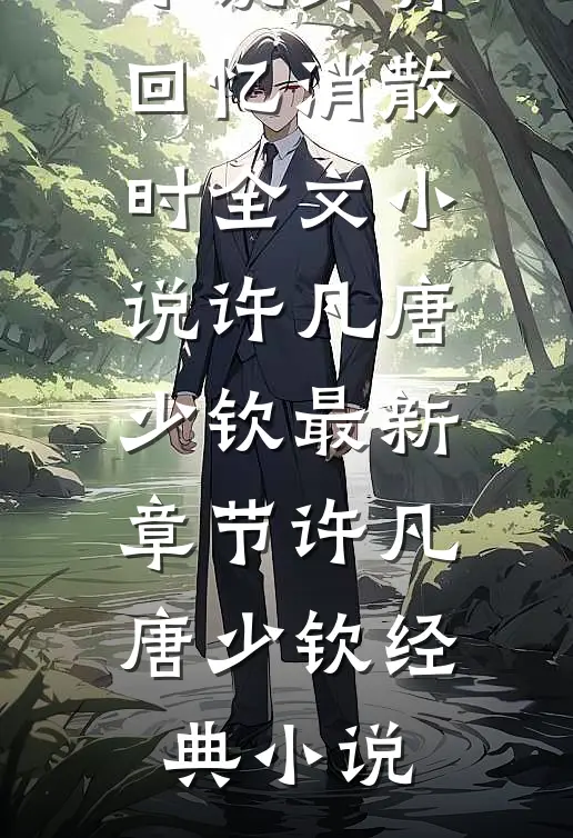终有回忆消散时全文小说许凡唐少钦最新章节