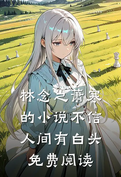 林念之萧寒的小说不信人间有白头免费阅读