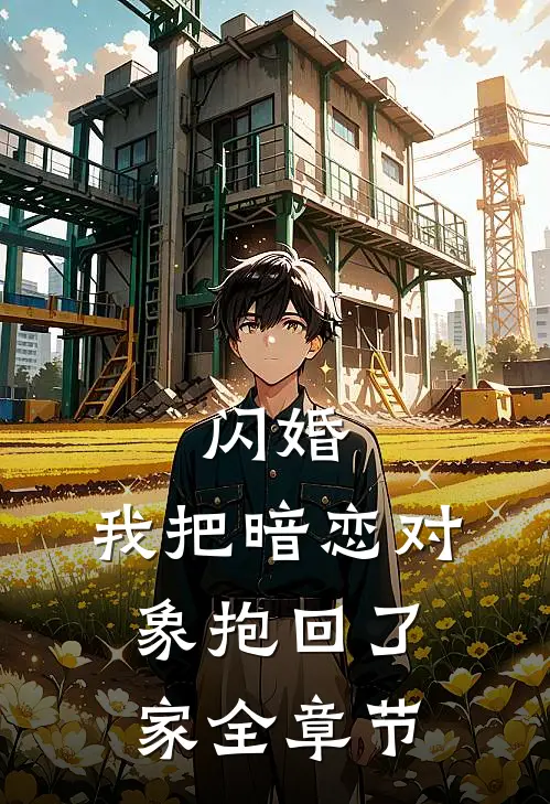 闪婚,我把暗恋对象抱回了家全章节