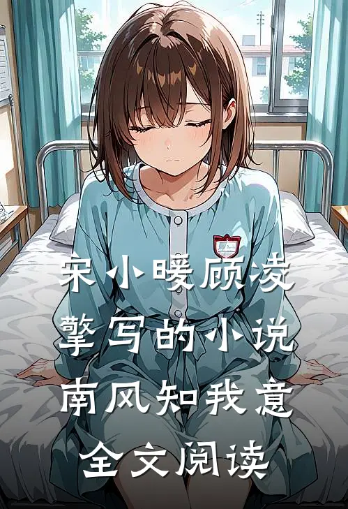 宋小暖顾凌擎写的小说南风知我意全文阅读