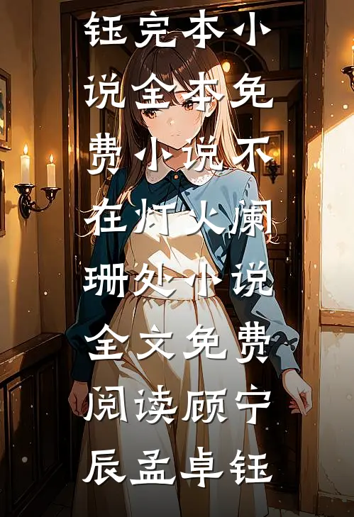 不在灯火阑珊处小说全文免费阅读