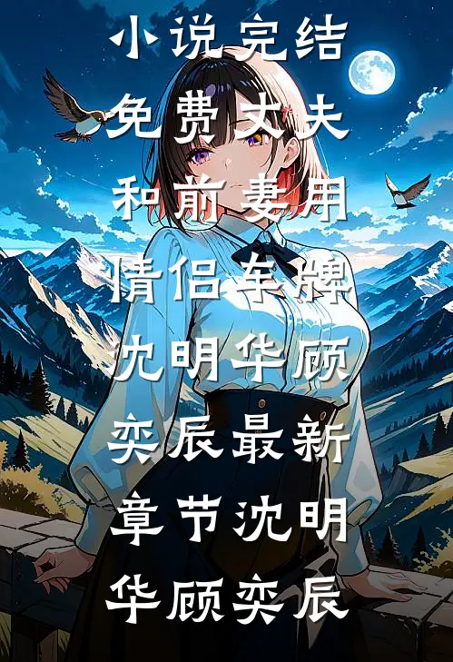 丈夫和前妻用情侣车牌沈明华顾奕辰最新章节