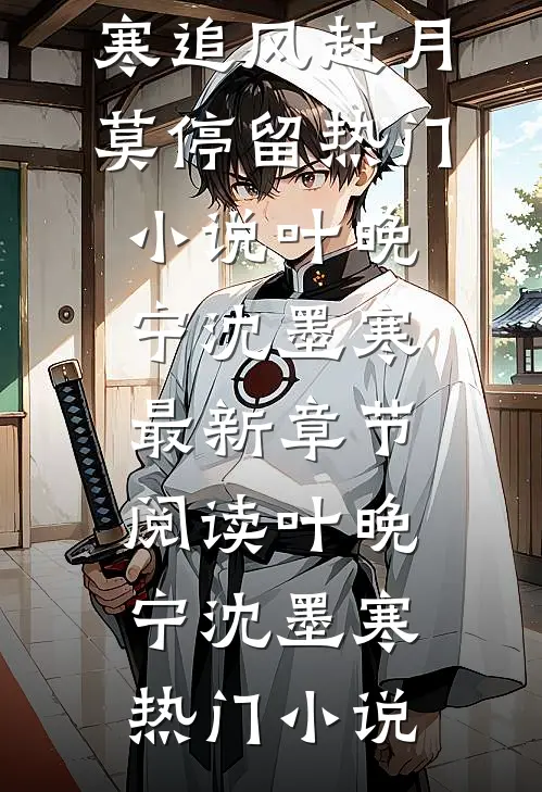 追风赶月莫停留热门小说叶晚宁沈墨寒
