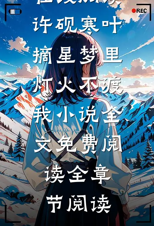 许砚寒叶摘星梦里灯火不渡我小说全文免费阅读