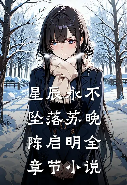星辰永不坠落苏晚陈启明全章节小说