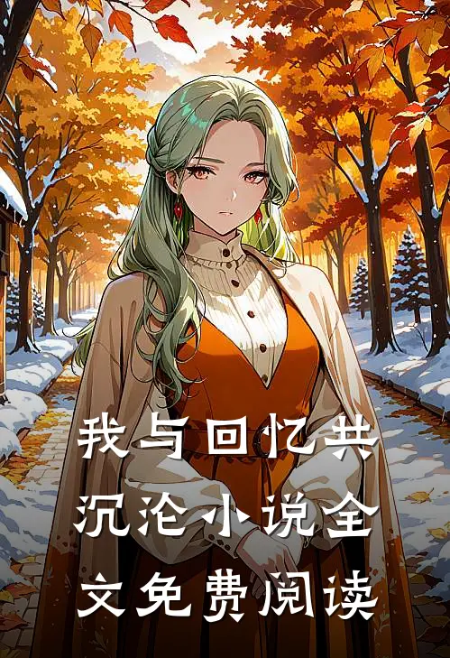 我与回忆共沉沦小说全文免费阅读