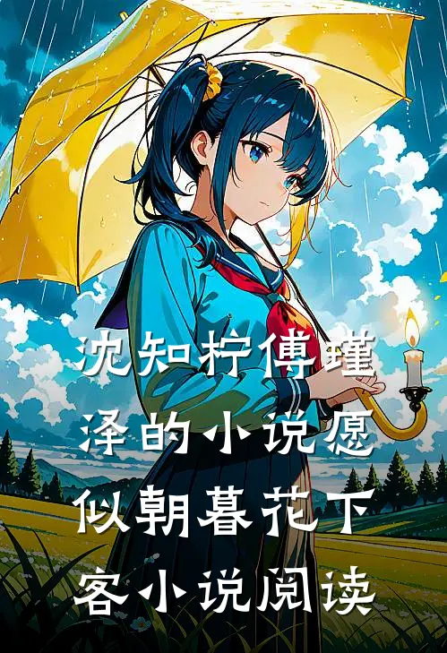 沈知柠傅瑾泽的小说愿似朝暮花下客小说阅读