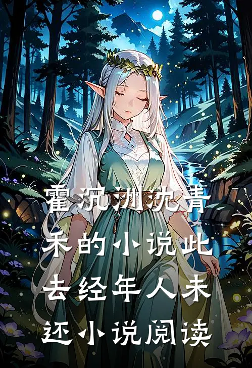 霍沉洲沈青禾的小说此去经年人未还小说阅读