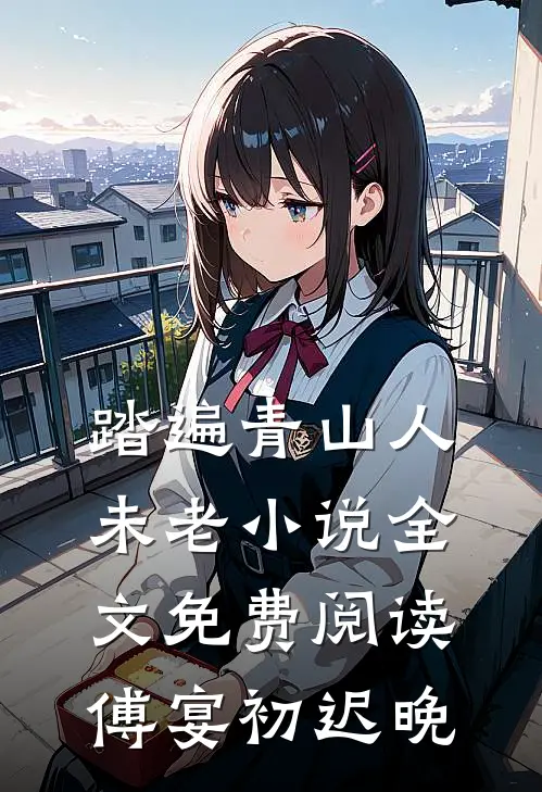 踏遍青山人未老小说全文免费阅读傅宴初迟晚