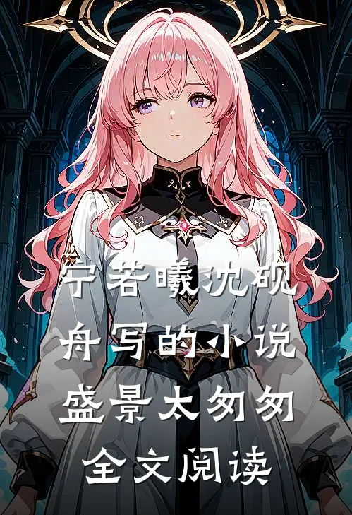宁若曦沈砚舟写的小说盛景太匆匆全文阅读