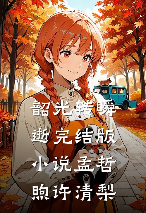 韶光转瞬逝完结版小说孟哲煦许清梨