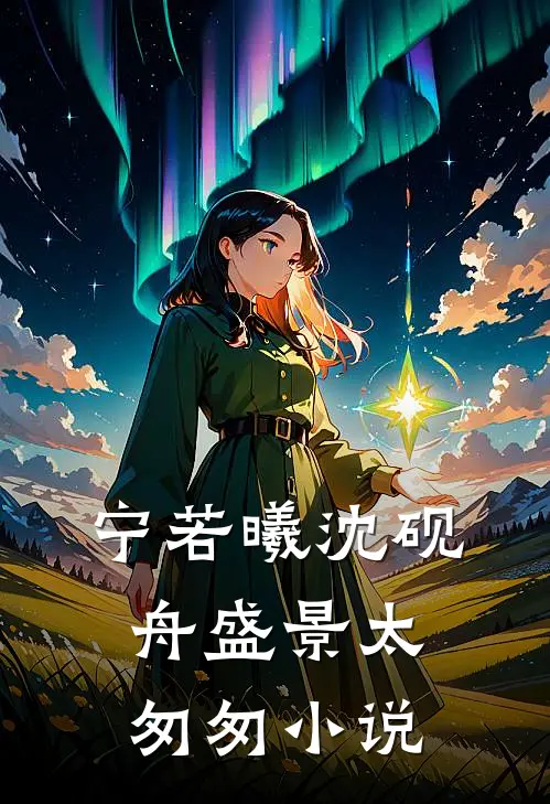 宁若曦沈砚舟盛景太匆匆小说