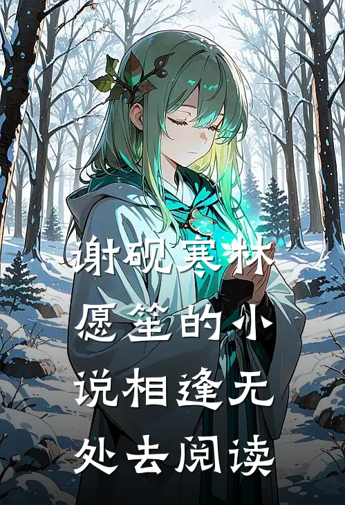 谢砚寒林愿笙的小说相逢无处去阅读