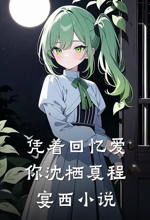 凭着回忆爱你沈栖夏程宴西小说