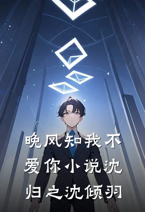 晚风知我不爱你小说沈归之沈倾羽