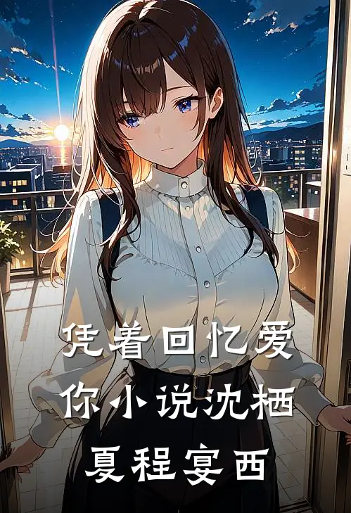 凭着回忆爱你小说沈栖夏程宴西