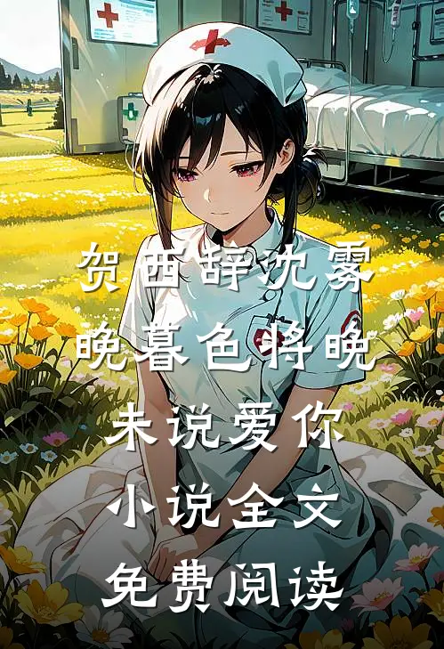 贺西辞沈雾晚暮色将晚未说爱你小说全文免费阅读